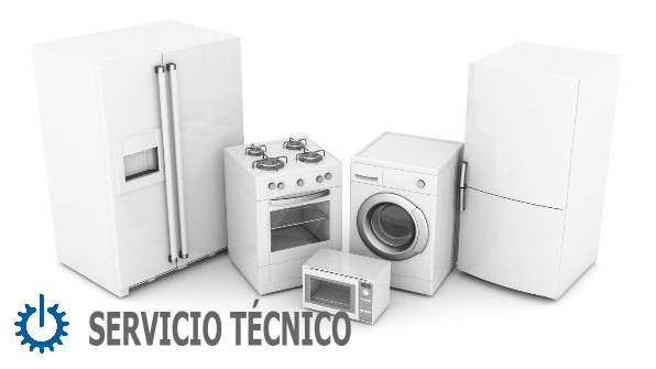 tecnico Edesa Vélez-Málaga